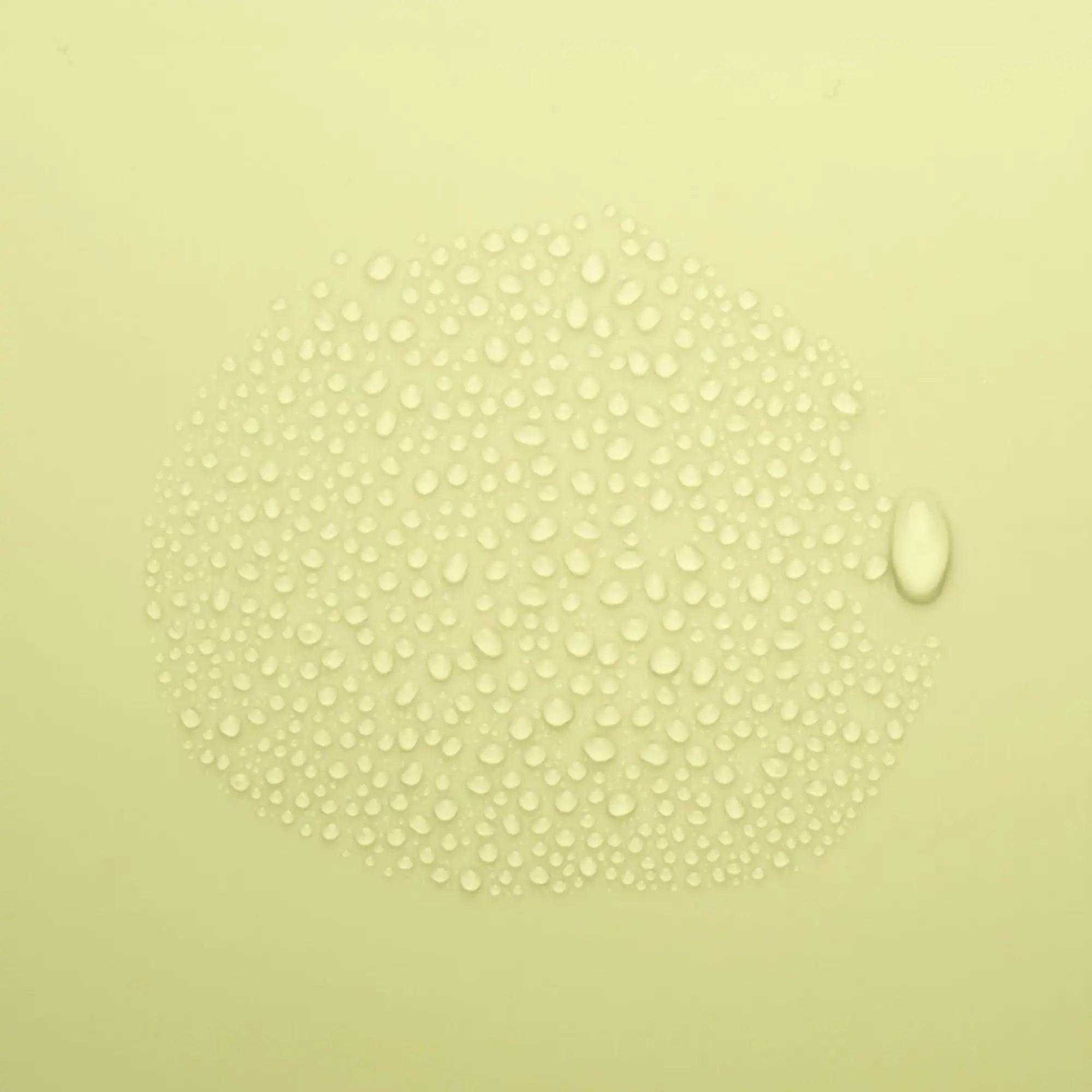 Spray Nettoyant - 50 ml - Dax & Terra Dax & Terra